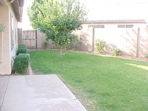 Image4