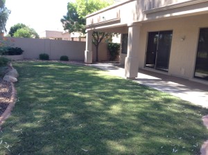backyardFacingW