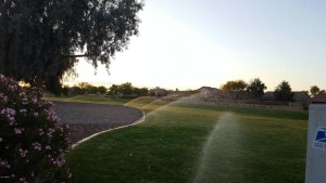 greenBeltSprinklersOn