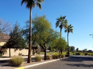palmEntryDrive